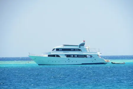 Ras Mohamed and White Island tour by yacht