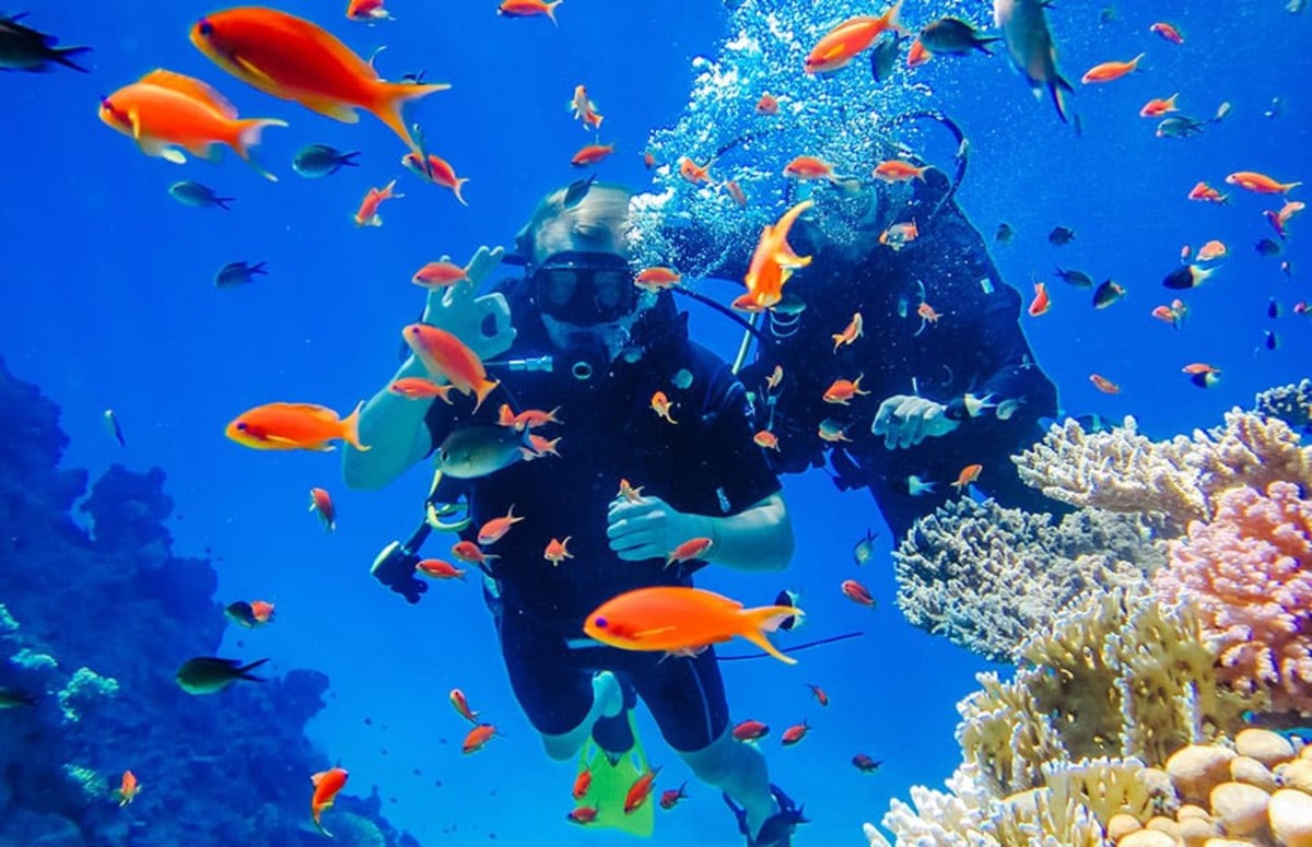 1Isola Bianca e Riserva Naturale di Ras Mohamed in Yacht