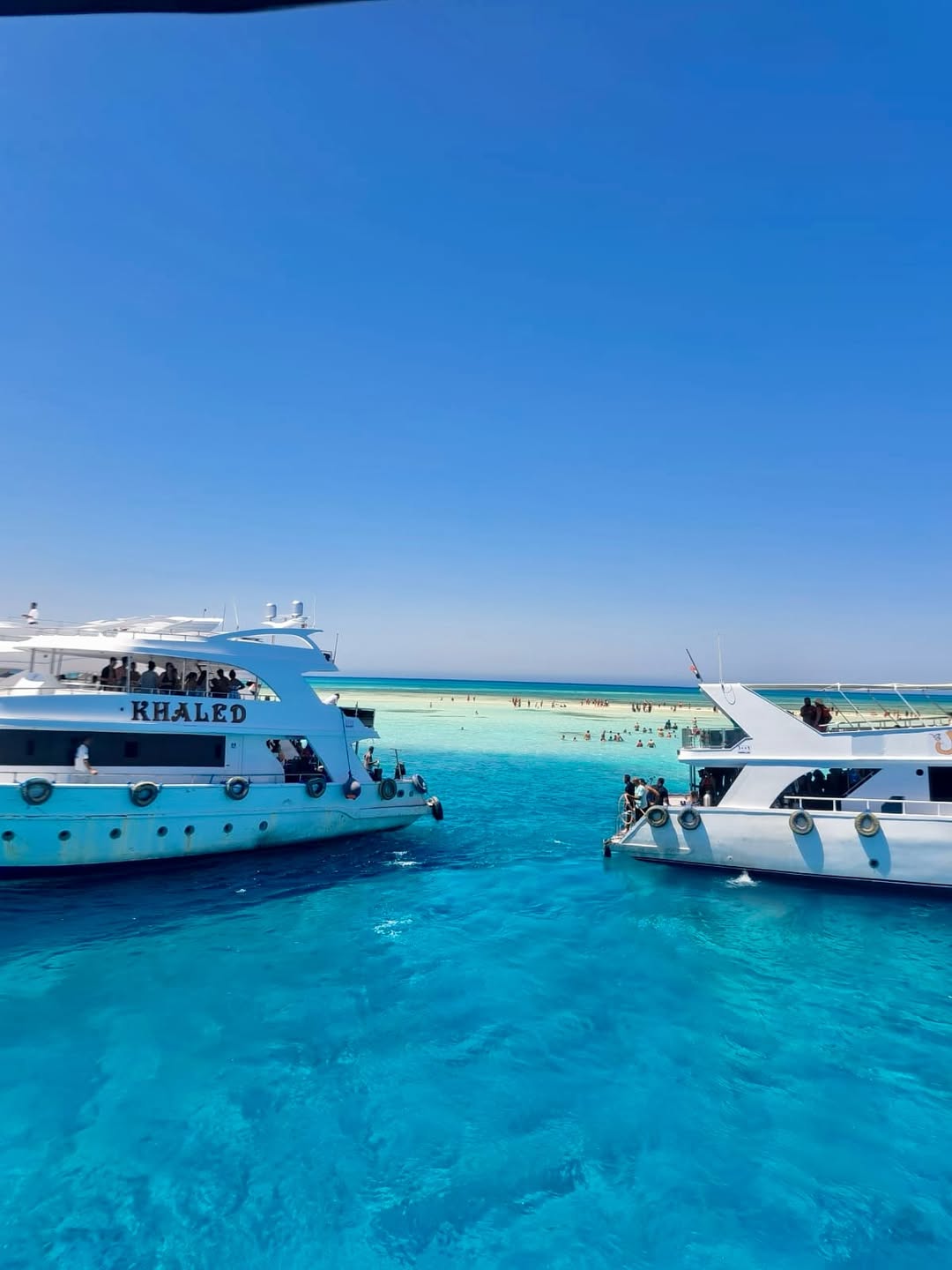 6Isola Bianca e Riserva Naturale di Ras Mohamed in Yacht
