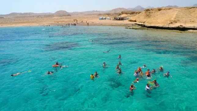 5Parco Nazionale di Ras Mohammed in autobus