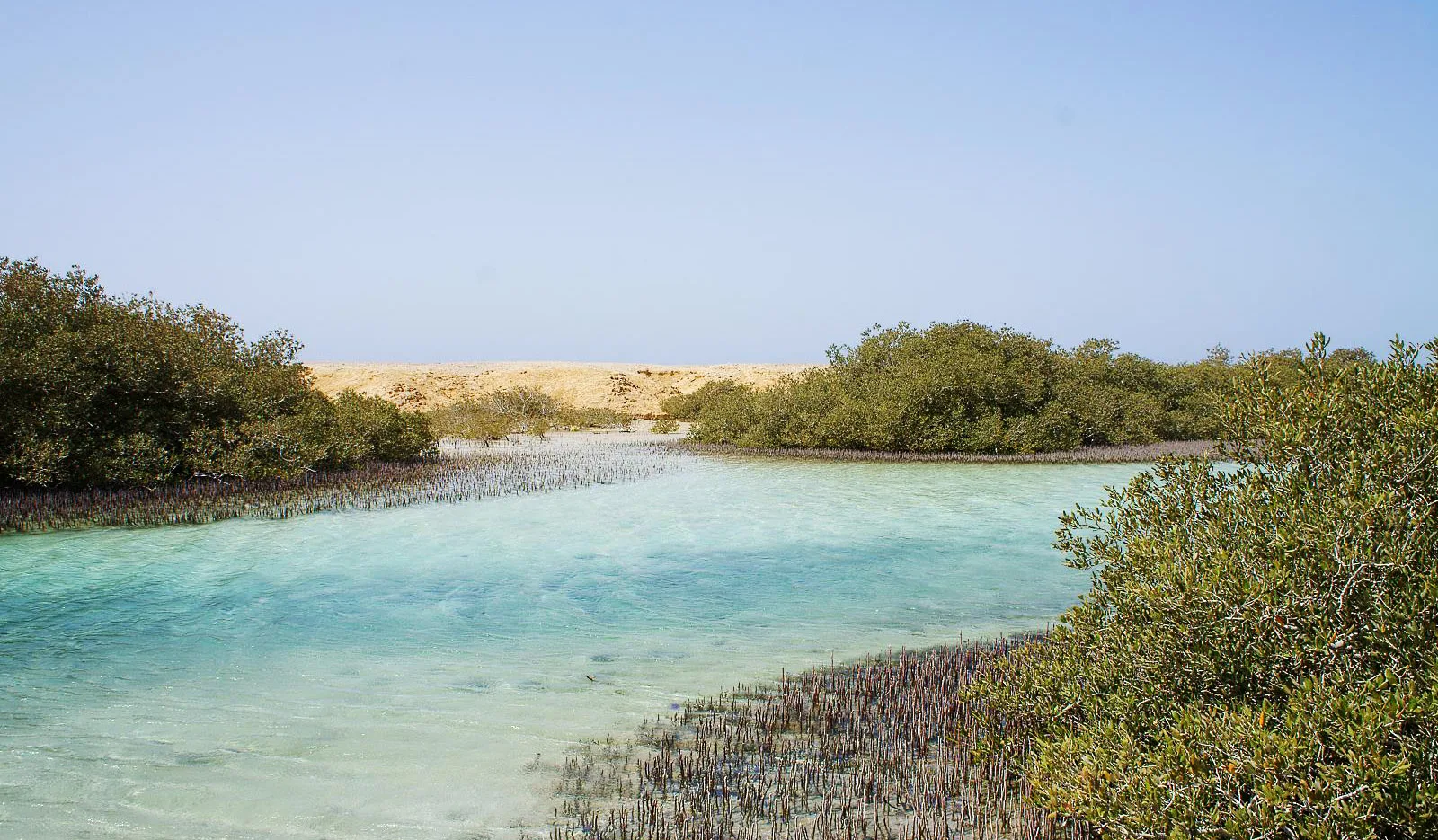 8Parco Nazionale di Ras Mohammed in autobus