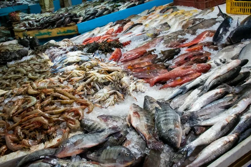 4Обзорная экскурсия по Хургаде