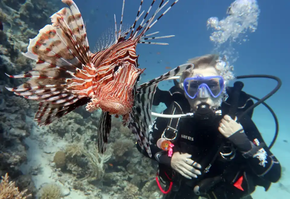 8Diving a Hurghada (su uno yacht)